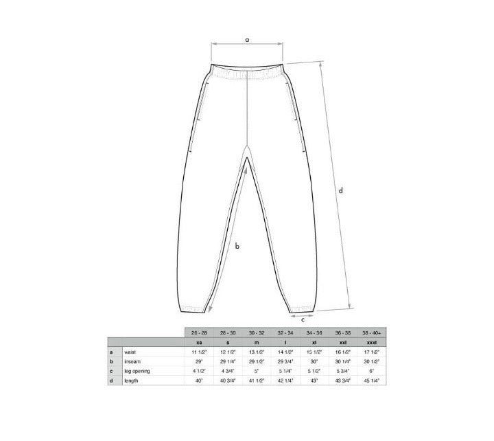 Travel pass pants