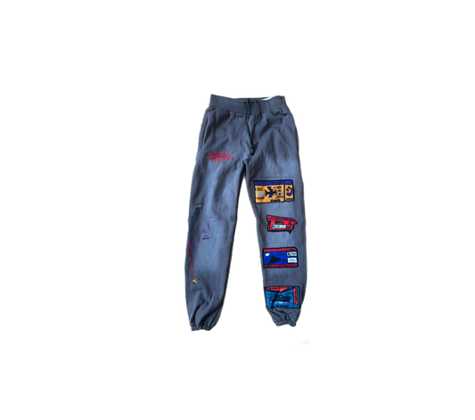 Travel pass pants