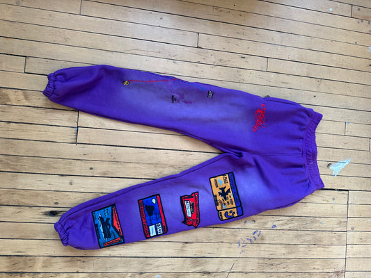 Travel pass pants